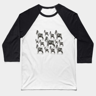 Miniature Schnauzer Baseball T-Shirt